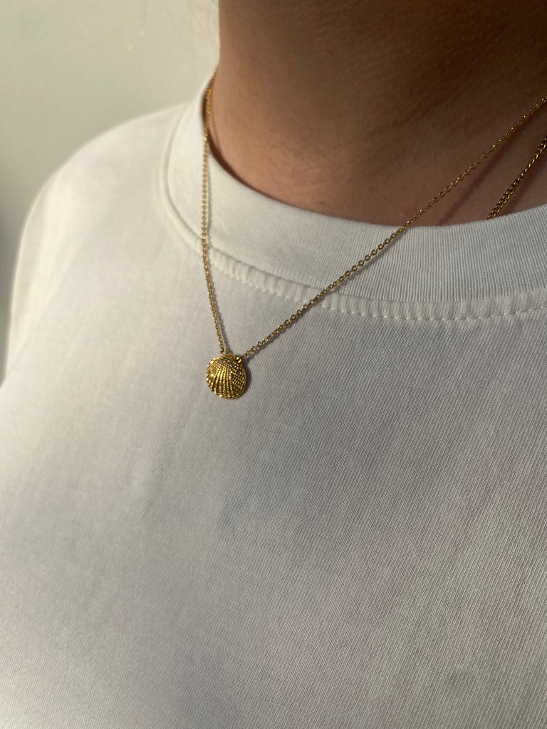 Gold plated Seashell necklace ethically created by Pineapple Island